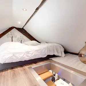 Le DUPLEX atypique et superbe , Annecy France