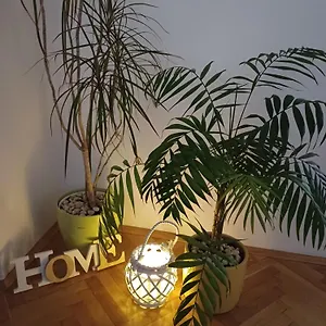 Lav Appartement