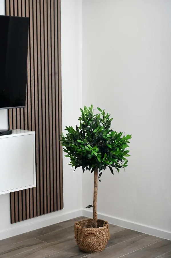 Aura Exclusive Apartment & Room Zara